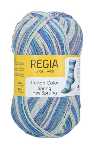 Regia Color Cotton- Close of Winter