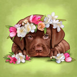 Diamond Art Club- Chocolate Labrador