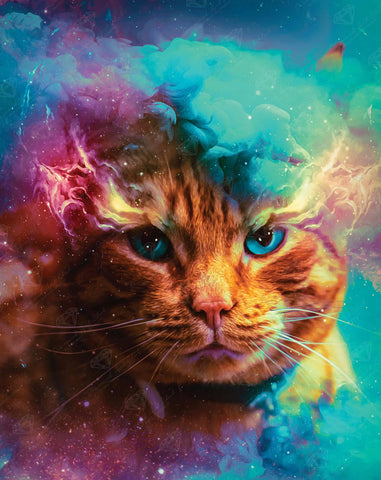 Diamond Art Club- Mr. Whiskers