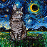 Diamond Art Club- Tabby Night