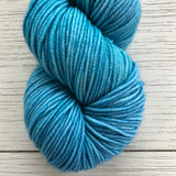 Juicy Worsted- Candy Skein