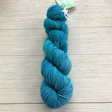 Juicy Worsted- Candy Skein
